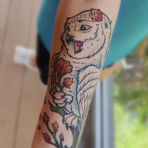 ANDREY LOKTIONOV | Сочи, Russia | iNKPPL