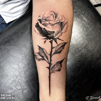Tattoo Idea #82369 Tattoo Artist Dominik Goralczyk