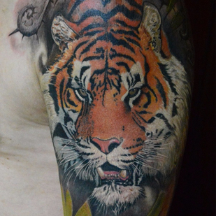 tattoo #89763 | Tattoo Artist Dmitriy Chikaev