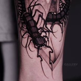 Male Black Graphic tattoo on Shin #100570 | Tattoo Artist Yavorskaya Anastasiya