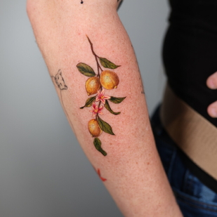 tattoo #103728 | Tattoo Artist Anastasiia Kravets