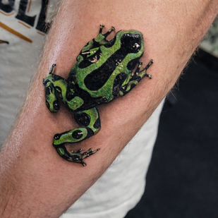 Color Realism tattoo #104698 | Tattoo Artist Justin Potter