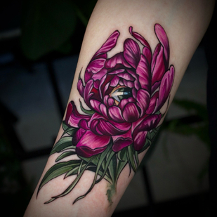 Color  tattoo on Forearm #94952 | Tattoo Artist Anna Karenina