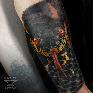 Male Color Cover-up tattoo on Forearm #96243 | Tattoo Artist Vladimir Kovalevskiy