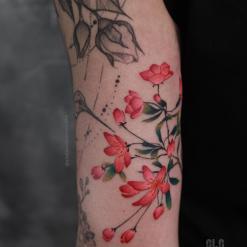 Tatuador Aleksandra Siminska