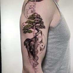 Tatuador Марк Друщенко