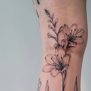 tatuaje #47406 | Tattoo Artist Aija May