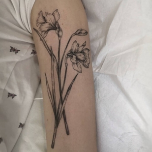 tatuaje #47379 | Tattoo Artist Aija May