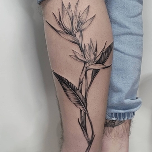 tatuaje #47399 | Tattoo Artist Aija May