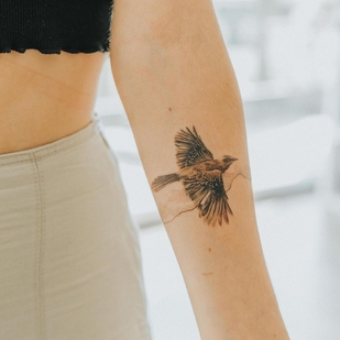 tatuaje #47565 | Tattoo Artist Simge Güleryüz