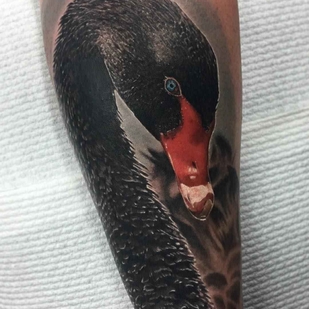 tatuaje #6990 | Tattoo Artist Ben Kaye