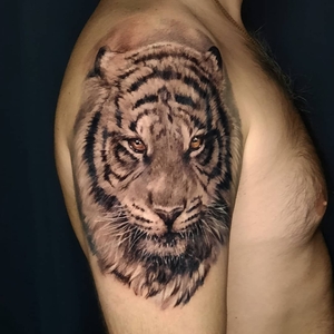 Igor Kot | Ростов-на-Дону, Russia | iNKPPL