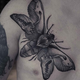 tatuaje #8899 | Tattoo Artist Rob Borbas