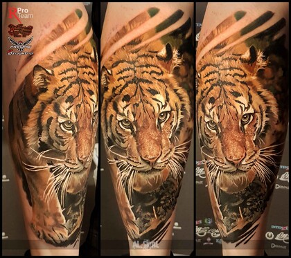 Ideas de Tatuajes #7850 Tattoo Artist Aleksandr Sigal Romashev