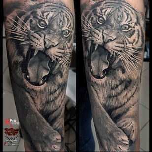 tatuaje #7895 | Tattoo Artist Aleksandr Sigal Romashev