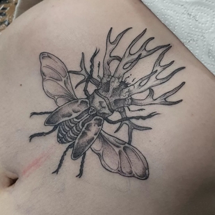 tatuaje #66836 | Tattoo Artist Nadan Sarvan