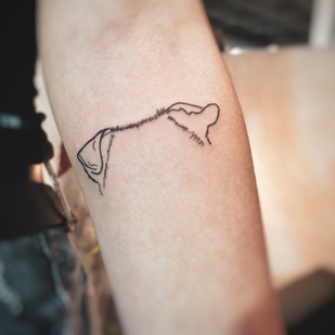 tatuaje #67335 | Tattoo Artist Renato Lombardi