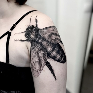 tatuaje #35925 | Tattoo Artist Frederico Rabelo