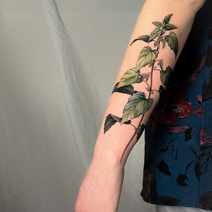 Femenino Color Botánico tatuaje en Antebrazo #54347 | Tattoo Artist Vanessa Core