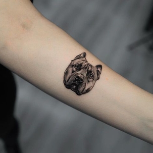 tatuaje #67573 | Tattoo Artist Dencz Orsolya