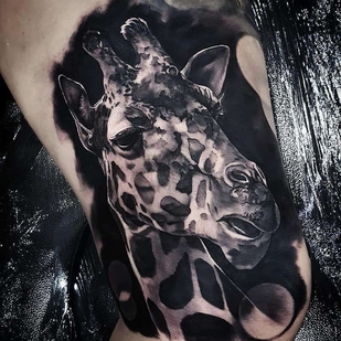 tatuaje #21377 | Tattoo Artist Nick Imms