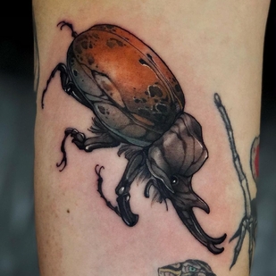 tatuaje #41371 | Tattoo Artist Ignis.ink