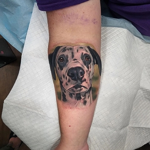 tatuaje #57262 | Tattoo Artist Halo Grey