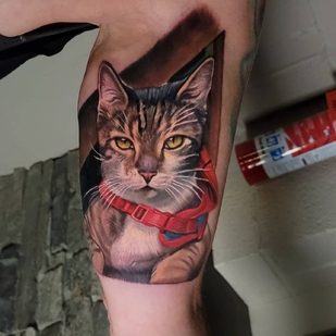 tatuaje #57254 | Tattoo Artist Halo Grey