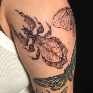 tatuaje #57745 | Tattoo Artist Emily Falkowski