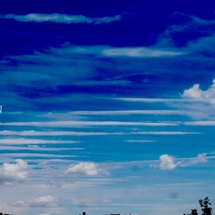 tatuaje #72635 | Tattoo Artist Richard S Ruth