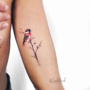 tatuaje #11985 | Tattoo Artist Luiza Oliveira
