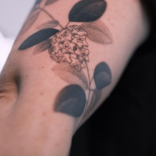 tatuaje #58288 | Tattoo Artist KimBobby