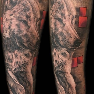 tatuaje #24196 | Tattoo Artist Ivan Safonov