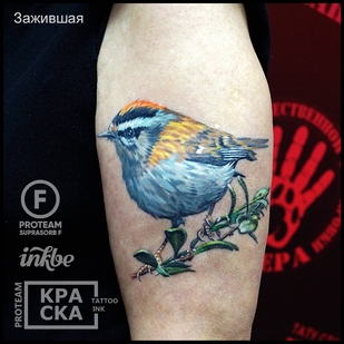 tatuaje #32555 | Tattoo Artist Vladimir PANTERA Korolev