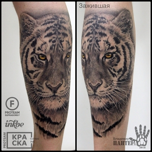 tatuaje #32557 | Tattoo Artist Vladimir PANTERA Korolev