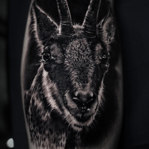 tatuaje #74271 | Tattoo Artist Elena Lamberti