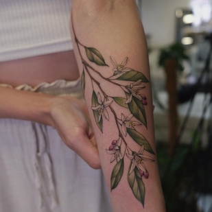 Femenino Color Botánico tatuaje en Antebrazo #44758 | Tattoo Artist Aleksandra Vorobeva