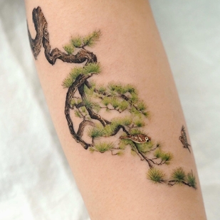 Femenino Color Miniatura tatuaje en Antebrazo #46270 | Tattoo Artist Dasol Kim