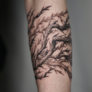 tatuaje #89899 | Tattoo Artist Ivan Tahine