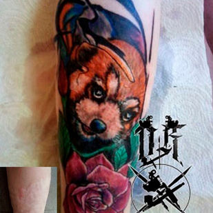 Color  tatuaje #87549 | Tattoo Artist Dmitriy Kobelev