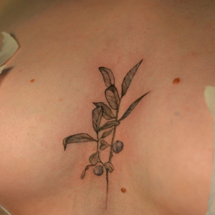 Femenino Color Femenino tatuaje en Pecho #84841 | Tattoo Artist Kristina Suhushina