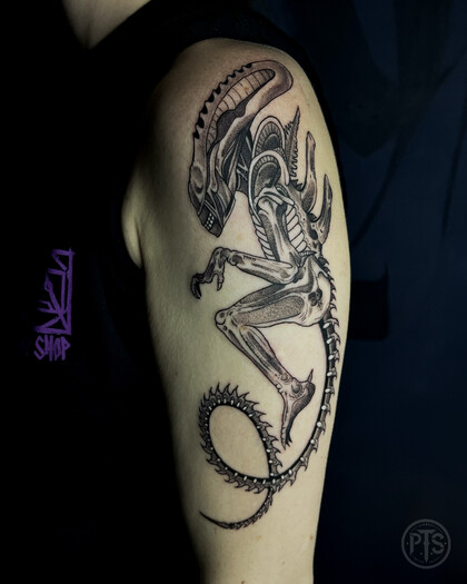 Ideas de Tatuajes # Tattoo Artist Perforator Tattoo Studio