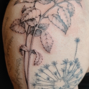 Masculino Negro y Gris  tatuaje en Hombro #92652 | Tattoo Artist Anna Chepusenko