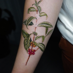 Masculino Color Realismo tatuaje en Antebrazo #96940 | Tattoo Artist Daniel Escalante