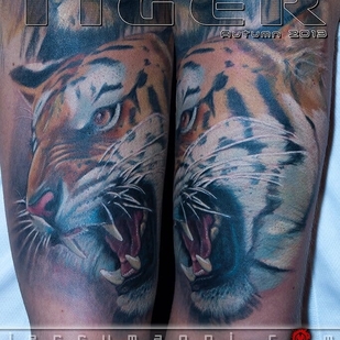 tatuaje #105278 | Tattoo Artist Jerry Magni