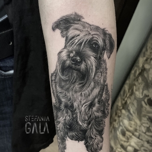 Femenino Negro y Gris Microrealismo tatuaje en Antebrazo #103282 | Tattoo Artist Stefania Gala