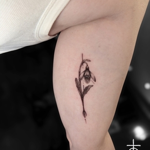 Microrealismo tatuaje #101028 | Tattoo Artist Claudia Fedorovici