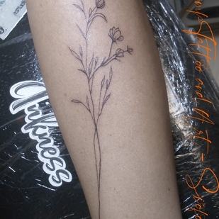 tatuaje #96258 | Tattoo Artist Klaudia Zelenay