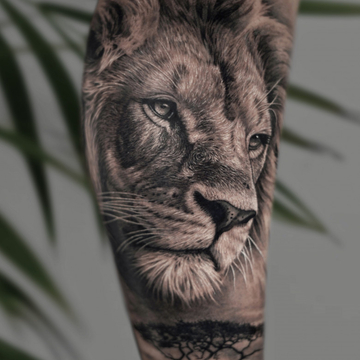 De la Toile à la Peau : Les Superbes Chef-d'œuvres de Tatouage de Jac Alonso