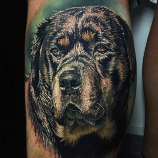 tatouage #5349 | Artiste tatoueur Steve Butcher